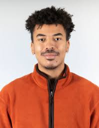 DIW Berlin: Division Applied Panel Analysis