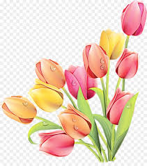 This clipart set includes 9 hand painted, high resolution watercolor clipart elements: Bouquet Of Flowers Drawing Png Download 1151 1280 Free Transparent Tulip Png Download Cleanpng Kisspng