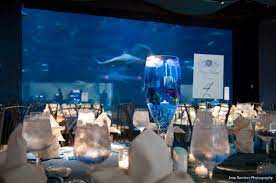 Adventure Aquarium Events Catering Camden Nj Wedding Venue Nj Wedding Venues Aquarium Wedding Sea Wedding Theme