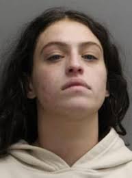 Palos Heights police bust mail theft ring