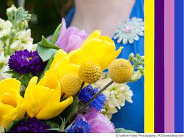 Purple Pink Blue And Yellow Spring Color Scheme Spring Wedding Colors Orange Wedding Colors Wedding Colors