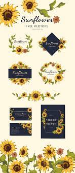 download free sunflower vector images at rawpixel com sunflower images vector free sunflower design