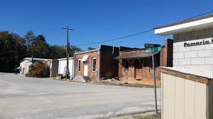 Image result for Pomaria