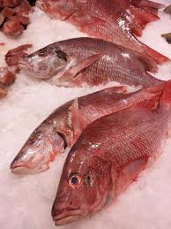 Etablissements Sautour Vents Et Marees Poissonnerie Bordeaux 33800 Adresse Horaire Et Avis
