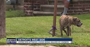 Mail Carrier Uses Pepper Spray To Help Man Who Fell While Trying To Help His Sick Dog During Dog Attack