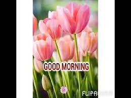 Zenjoy Video Maker Editing By Suraj Youtube