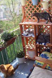 Aussichtsplateaus Fur Balkon Ideen Gesucht Seite 3 Katzen Forum Katze Balkon Balkon Dekor Katzenhaus