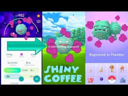 How does this calculator work? Pokemon Go Shiny Koffing Catch Weezing Evolution After 170 Tries Youtube