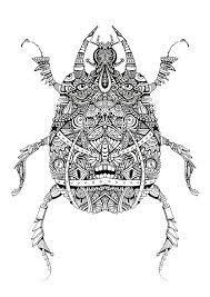 bleeken coloriage insectes animaux art d insecte pokemon gratuit en ligne