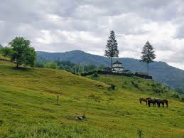 Colecție de la felix pop • ultima actualizare acum 2 săptămâni. JudeÅ£ul Valcea