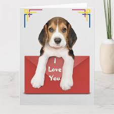 I Love You Printed On Red Envelope Card Zazzle Com Beagle Gifts Beagle Funny Red Envelope