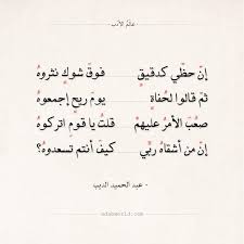 شعر عبد الحميد الديب إن حظي كدقيق عالم الأدب belles citations image avec texte proverbes et citations