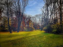 Der eigentlich ungeliebte kurfürst wollte mit dem englischen garten auch dem. Englischer Garten Garten Ideen