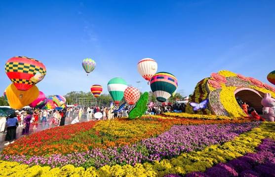 Làng hoa Sa Đéc mời khách thưởng thức sắc hương từ mặt đất đến bầu trời