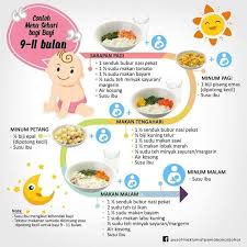 Bayi berusia 9 bulan sudah diperbolehkan mendapat makanan tambahan untuk menunjang kebutuhan gizinya. Menu Baby Untuk Sehari Menu Apa Easy Babyfood Shop Facebook