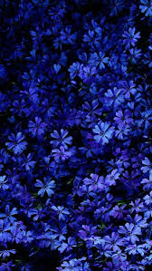 Los Mejores 52 Fondos De Pantalla Color Azul Oscuro Hacer Fondos De Pantalla Fondos De Pantalla Naturaleza Fondos De Pantalla De Color Azul