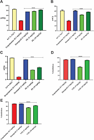 Image result for Multidentia crassa