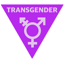 This second version of the transgender symbol includes a strikethrough in the center, to include those. All About The Transgender Symbol My Transsexual Date Blog