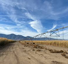 Estate Whiskey Certification Arrives — Here's What It Means