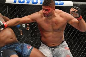 Alistair overeem was the top earner at ufc fight night: Ufc Fight Night Overeem Vs Volkov Picks And Predictions