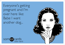 Everyone S Getting Pregnant And I M Over Here Like Babe I Want Another Dog Baby Ecard