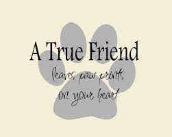 We have 13 graphics about dog paw print quotes including pictures, photos, photographs, wallpapers, and much more. Pin On Pets Animals