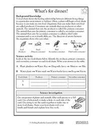If the supply of energy stops, life stops. Parts Of The Food Chain 5th Grade Science Worksheet Greatschools