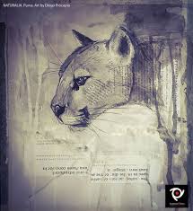 Puma Concolor Animal Art Art Art Tattoo