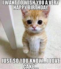 Pin By Marina Santos On Happy Birthday Images With Cats Cat Birthday Memes Funny Happy Birthday Meme Funny Happy Birthday Wishes