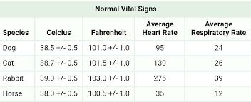 Normal Tpr Temperature Pulse Respiration Veterinary