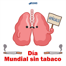 Esta celebración es promovida actualmente por todos los países miembros de la onu, la oms y ops. Dia Mundial Sin Tabaco Dia Mundial Sin Tabaco Dia Del No Fumador Dia Mundial Del Tabaco