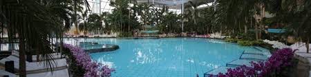 Die mineralischen thermalbäder im palmenparadies sinsheim versorgen dich in tropischem ambiente mit. Thermen Und Badewelt Sinsheim Rutscherlebnis De