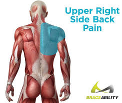 Under your right rib cage are your liver, gallbladder, right kidney, and your right lung. Self Diagnosing Your Lower Upper Right Side Quadrant Back Pain