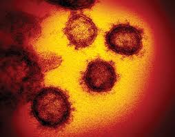 Here's what you need to know. How Scientists Are Responding To The Novel Coronavirus Tmc News
