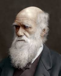 Biography of Charles Darwin, 19th Century Naturalist