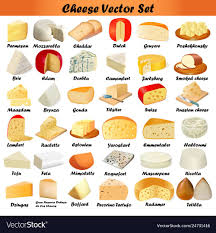 Set Of Different Types Of Cheese On A White Vector Image Types Of Cheese Food Perfect Cheese Board