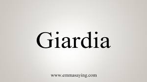 Dec 09, 2019 · 1 capitalized : How To Say Giardia Youtube