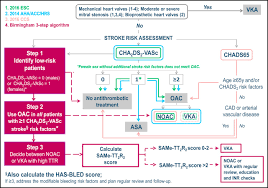 Viewpoint Stroke Prevention In Recent Guidelines For The Management Of Patients With Atrial Fibrillation An Appraisal The American Journal Of Medicine