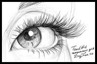 Drawing eyelashes can be especially tough, using hundreds of lines with slight variations. Eyelashes Drawing Lessons Tutorials For How To Draw Eye Lashes Step By Step