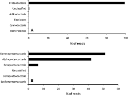 Do you love red velvet ? Metagenomics Of Petroleum Muck Revealing Microbial Diversity And Depicting Microbial Syntrophy Springerlink