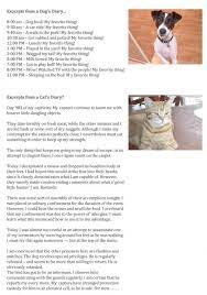 Dog Day Vs Cat Day Cat Quotes Funny Cat Vs Dog Cat Diary