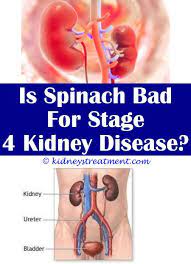 Kidney Disease Recipes Watches Kidney Disease Awareness Kidney Detox Kidney Disease Diet