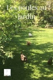 les poules devorent pissenlits limaces et escargots mais attention aux jeunes pousses de vos plantes preferees alors la poule agriculture urbaine jardins