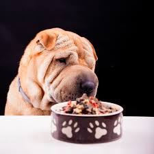 Merrick dog food and best dog joint supplements. What S The Best Food To Feed Your Dogs Usa Pet Cover