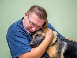 Such fees can vary from as little as $20 to as much as $150 or more. Where Can I Surrender My Dog For Free