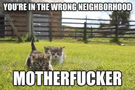 You Re In The Wrong Neighborhood Motherfucker Cat Attack Quickmeme