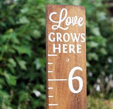 love grows here height chart gifts wood height chart