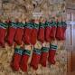 Alachua Conservation Trust — ACT Holiday Mingle event image