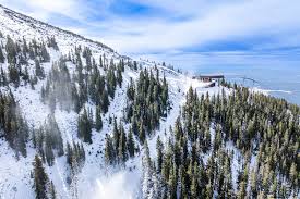 How To Get To Snowbowl - Arizona Snowbowl