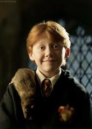 Sunshine Daisies Butter Mellow Turn This Stupid Fat Rat Yellow Pin By Priyanshi On Ronald Weasely Harry Potter Ron Harry Potter Characters First Harry Potter